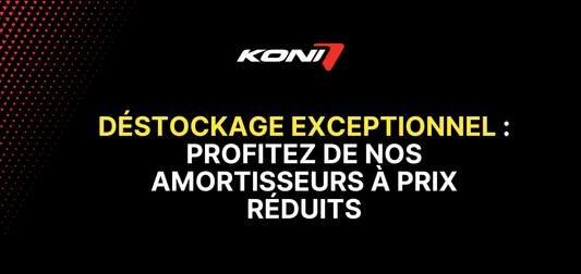 DESTOCKAGE exceptionnel : Profitez de nos amortisseurs à prix réduits !