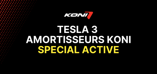 Tesla 3  Amortisseurs Koni Special Active
